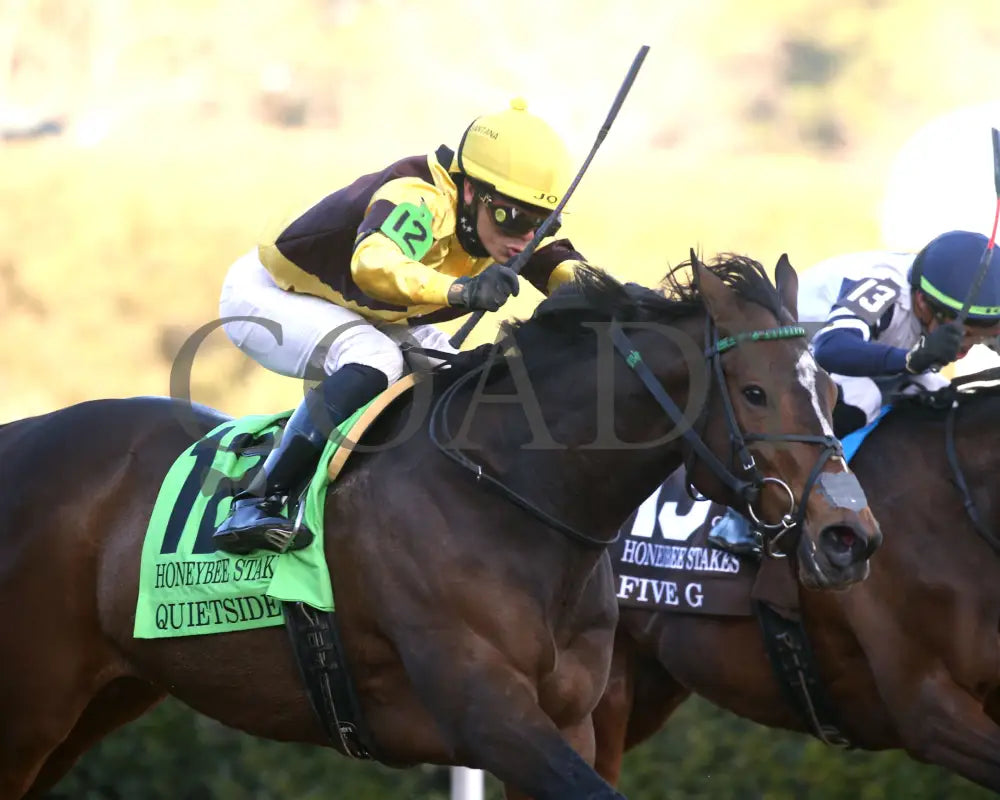 QUIETSIDE - The Honeybee Stakes G3 - 02-23-25 - R09 - OP - Finish 04 Oaklawn Park