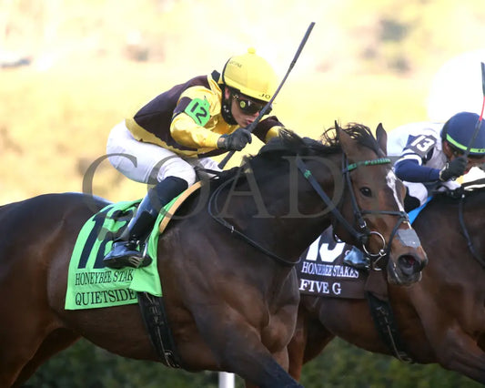 QUIETSIDE - The Honeybee Stakes G3 - 02-23-25 - R09 - OP - Finish 04 Oaklawn Park