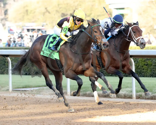 QUIETSIDE - The Honeybee Stakes G3 - 02-23-25 - R09 - OP - Finish 02 Oaklawn Park