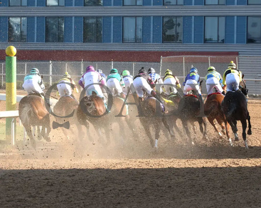 QUIETSIDE - The Honeybee Stakes G3 - 02-23-25 - R09 - OP - First Turn 01 Oaklawn Park