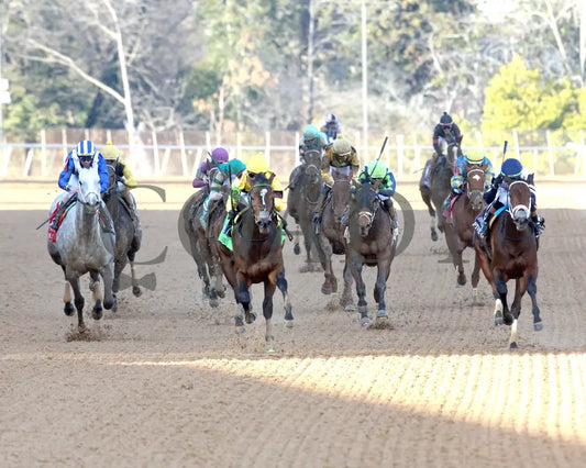 QUIETSIDE - The Honeybee Stakes G3 - 02-23-25 - R09 - OP - Head On 01 Oaklawn Park