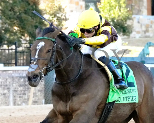 QUIETSIDE - The Honeybee Stakes G3 - 02-23-25 - R09 - OP - Inside Finish 02 Oaklawn Park