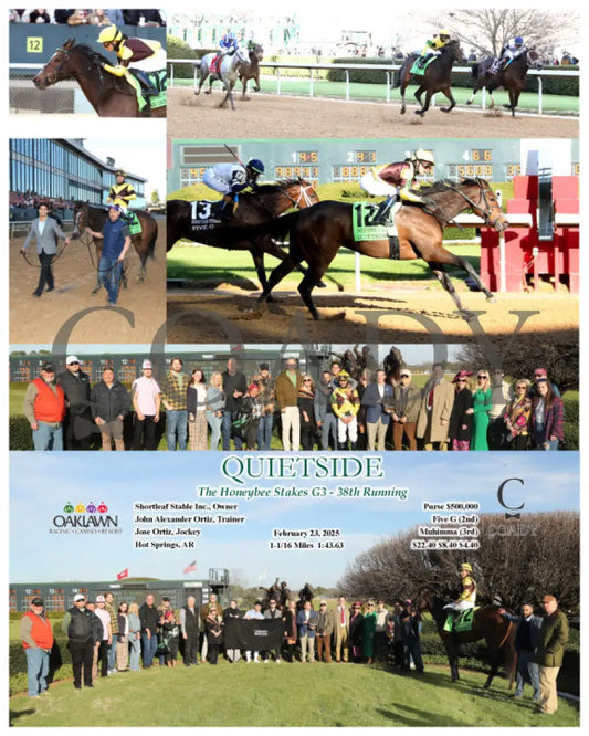 QUIETSIDE - The Honeybee Stakes G3 - 02-23-25 - R09 - OP Oaklawn Park