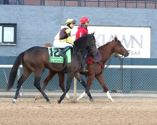 QUIETSIDE - The Honeybee Stakes G3 - 02-23-25 - R09 - OP - Post Parade 01 Oaklawn Park