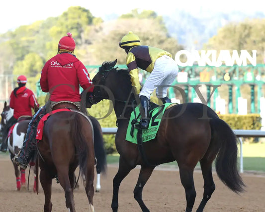 QUIETSIDE - The Honeybee Stakes G3 - 02-23-25 - R09 - OP - Post Parade 03 Oaklawn Park