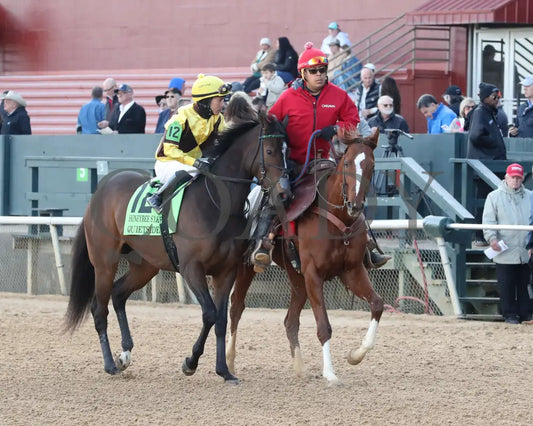 QUIETSIDE - The Honeybee Stakes G3 - 02-23-25 - R09 - OP - Post Parade 02 Oaklawn Park