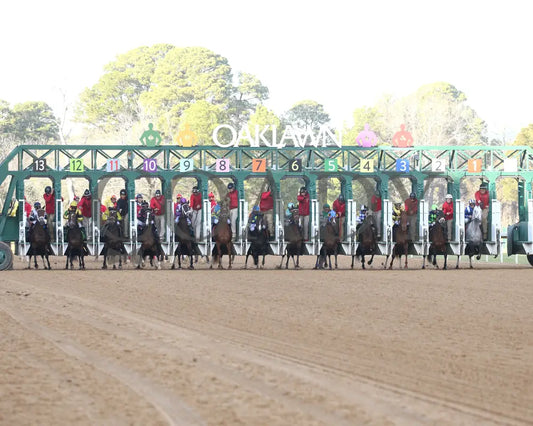 QUIETSIDE - The Honeybee Stakes G3 - 02-23-25 - R09 - OP - Start 01 Oaklawn Park
