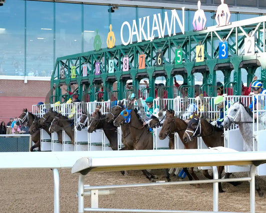 QUIETSIDE - The Honeybee Stakes G3 - 02-23-25 - R09 - OP - Start 02 Oaklawn Park