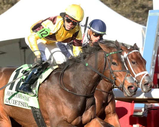 QUIETSIDE - The Honeybee Stakes G3 - 02-23-25 - R09 - OP - Tight Finish 02 Oaklawn Park