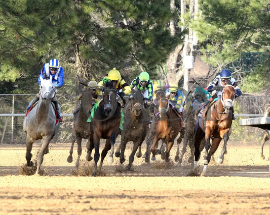 QUIETSIDE - The Honeybee Stakes G3 - 02-23-25 - R09 - OP - Turn 01 Oaklawn Park