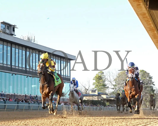 QUIETSIDE - The Honeybee Stakes G3 - 02-23-25 - R09 - OP - Under Rail 01 Oaklawn Park
