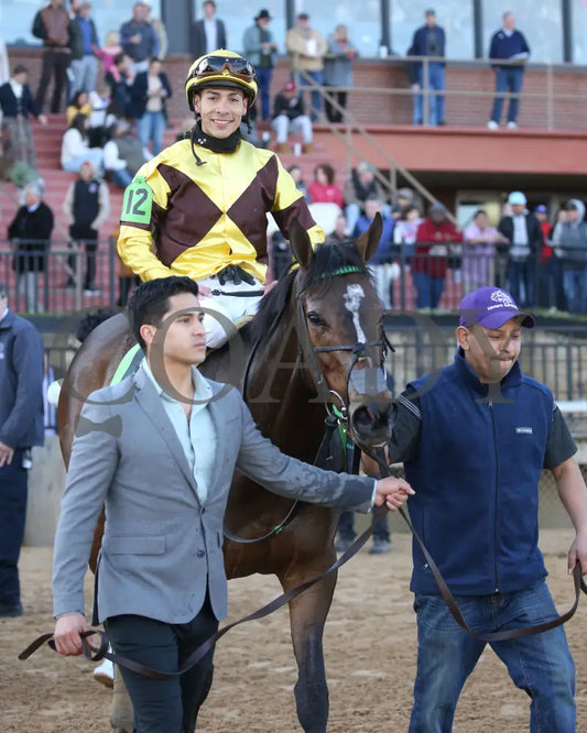QUIETSIDE - The Honeybee Stakes G3 - 02-23-25 - R09 - OP - Walk In 01 Oaklawn Park