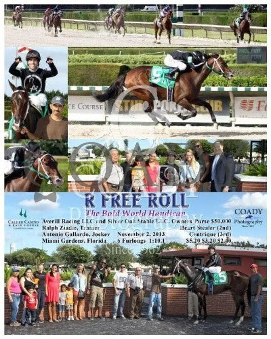 R Free Roll - 110213 Race 07 Crc Calder Course