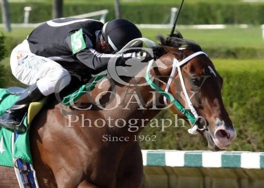 R Free Roll - 110213 Race 07 Crc Tight Fin2 Calder Course