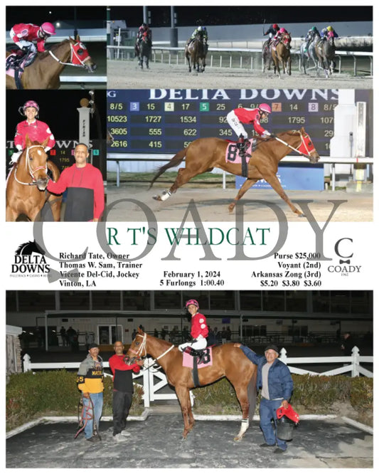 R T’s Wildcat - 02 - 01 - 24 R05 Ded Delta Downs