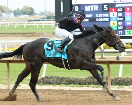 Race 05 MISTER T 102525 Horseshoe Indiana - Finish 01 - Devin Hall Indiana Grand