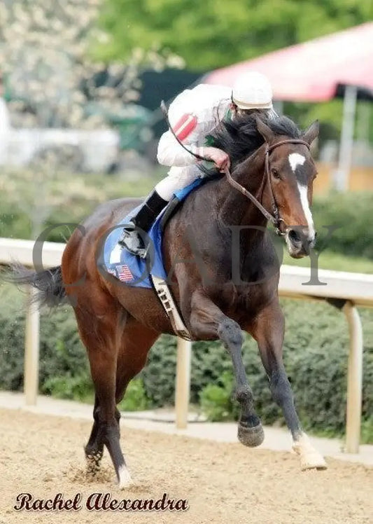 Rachel Alexandra - The Fantasy Stakes Finish Oaklawn Park