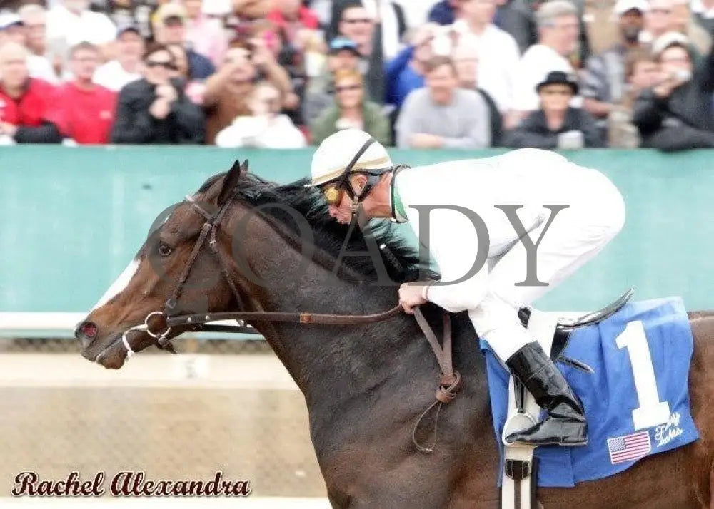 Rachel Alexandra - The Fantasy Stakes Oaklawn Park