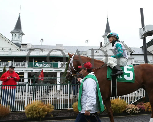 Raggedy Annie - 11-23-19 R05 Cd Paddock 01 Churchill Downs