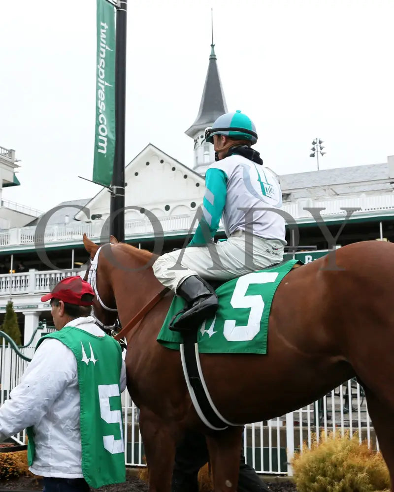 Raggedy Annie - 11-23-19 R05 Cd Paddock 02 Churchill Downs