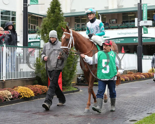 Raggedy Annie - 11-23-19 R05 Cd Paddock 04 Churchill Downs