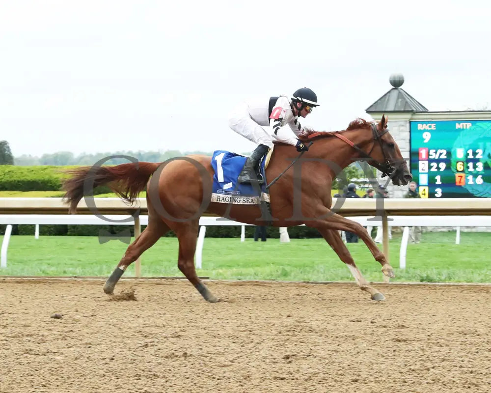 Raging Sea - The Baird Doubledogdare G3 29Th Running 04 - 19 - 24 R09 Kee Finish 01 Keeneland