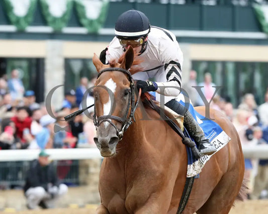 Raging Sea - The Baird Doubledogdare G3 29Th Running 04 - 19 - 24 R09 Kee Inside Finish 01 Keeneland