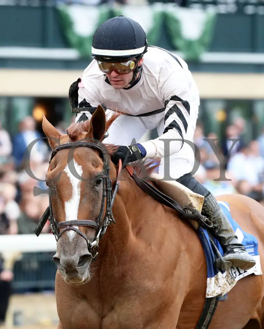 Raging Sea - The Baird Doubledogdare G3 29Th Running 04 - 19 - 24 R09 Kee Inside Finish 02 Keeneland