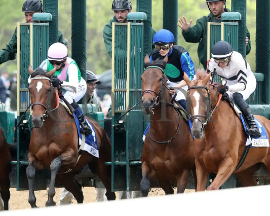 Raging Sea - The Baird Doubledogdare G3 29Th Running 04 - 19 - 24 R09 Kee Inside Start 01 Keeneland