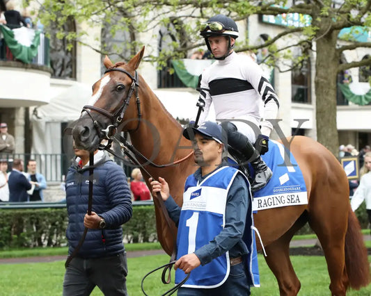 Raging Sea - The Baird Doubledogdare G3 29Th Running 04 - 19 - 24 R09 Kee Paddock 02 Keeneland