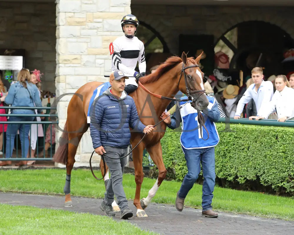 Raging Sea - The Baird Doubledogdare G3 29Th Running 04 - 19 - 24 R09 Kee Paddock 03 Keeneland