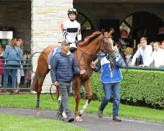 Raging Sea - The Baird Doubledogdare G3 29Th Running 04 - 19 - 24 R09 Kee Paddock 03 Keeneland