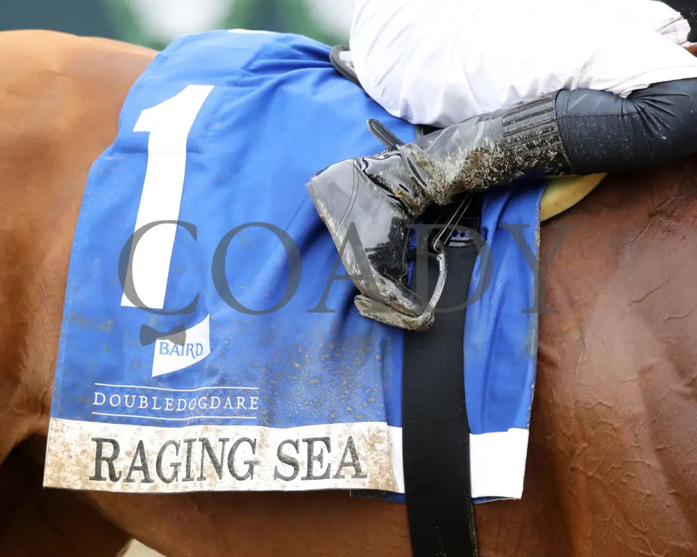 Raging Sea - The Baird Doubledogdare G3 29Th Running 04 - 19 - 24 R09 Kee Saddle Towel 01 Keeneland