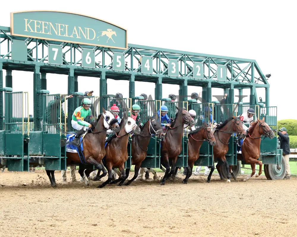 Raging Sea - The Baird Doubledogdare G3 29Th Running 04 - 19 - 24 R09 Kee Start 01 Keeneland
