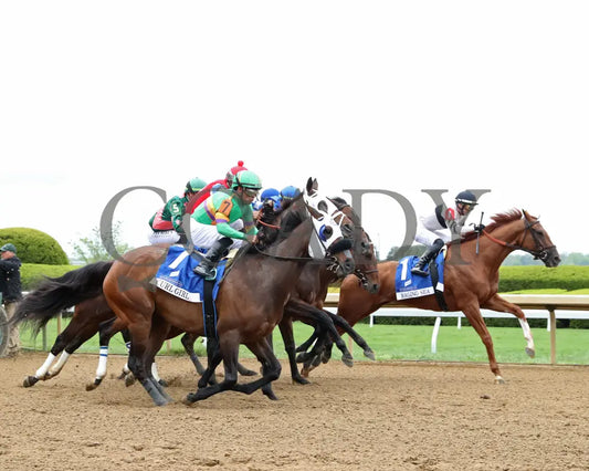 Raging Sea - The Baird Doubledogdare G3 29Th Running 04 - 19 - 24 R09 Kee Start 02 Keeneland