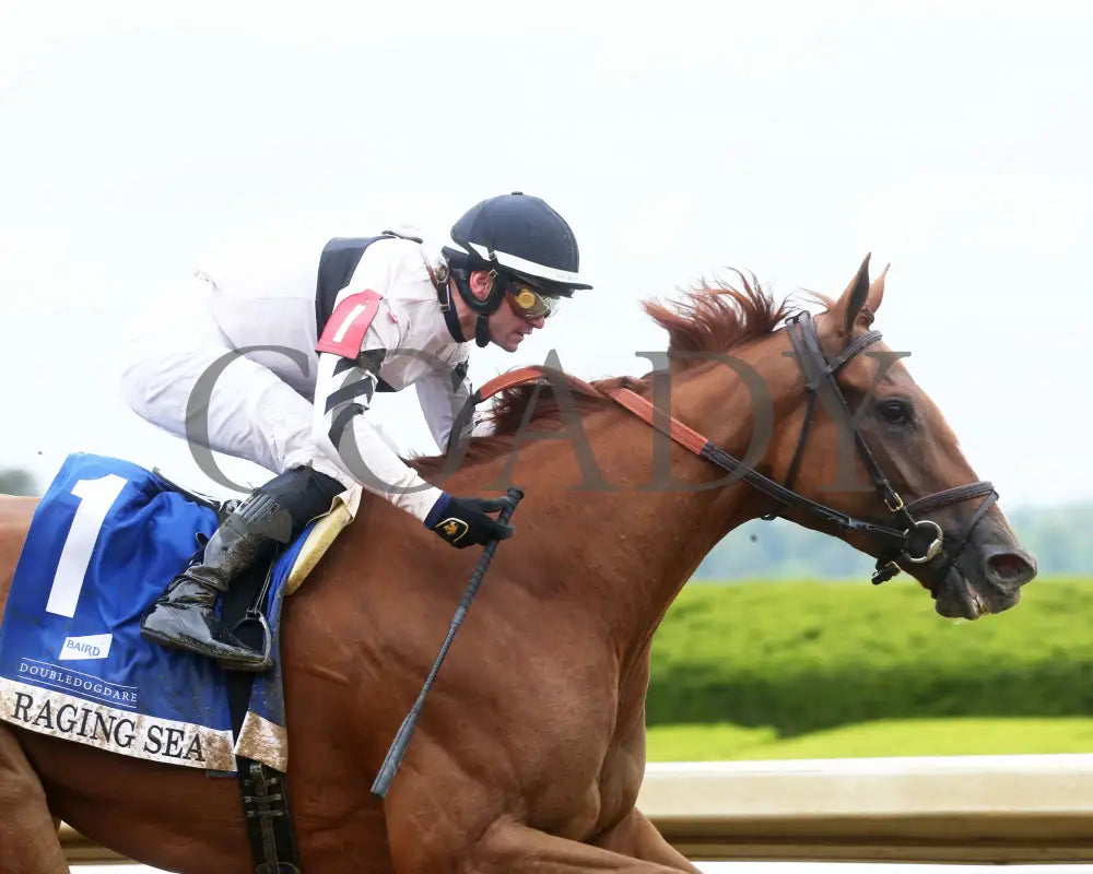 Raging Sea - The Baird Doubledogdare G3 29Th Running 04 - 19 - 24 R09 Kee Tight Finish 01 Keeneland