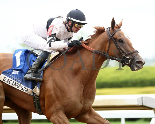 Raging Sea - The Baird Doubledogdare G3 29Th Running 04 - 19 - 24 R09 Kee Tight Finish 02 Keeneland