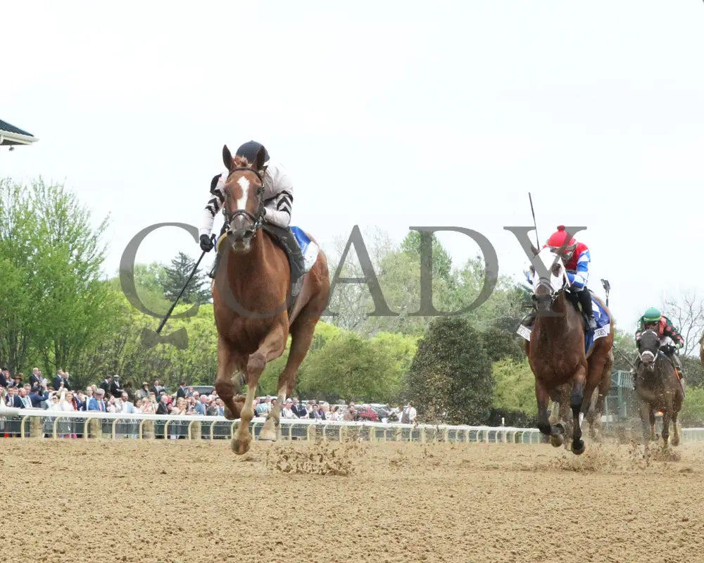 Raging Sea - The Baird Doubledogdare G3 29Th Running 04 - 19 - 24 R09 Kee Under Rail 01 Keeneland