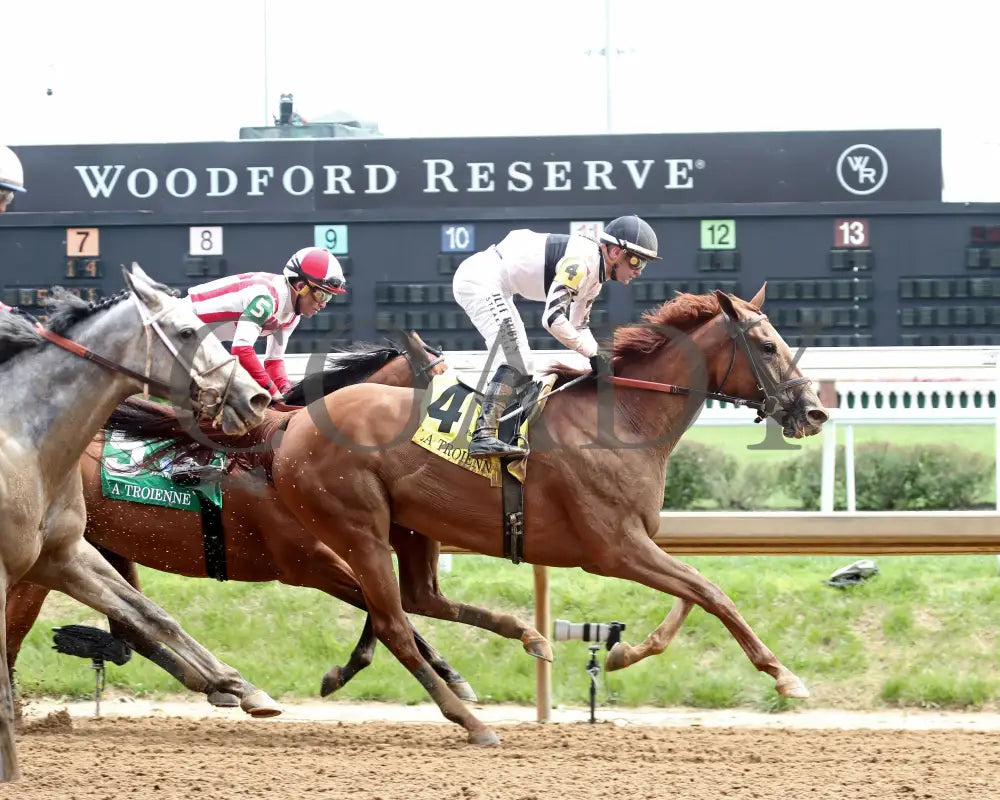 RAGING SEA - The Fasig - Tipton La Troienne G1 - 40th Running - 05-02-25 - R07 - CD - Celebration 01 Churchill Downs