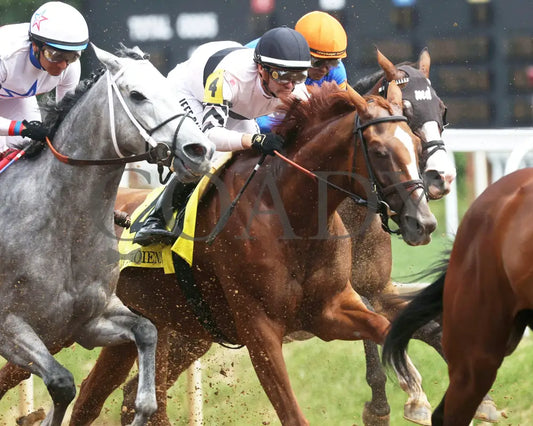 RAGING SEA - The Fasig - Tipton La Troienne G1 - 40th Running - 05-02-25 - R07 - CD - First Pass 01 Churchill Downs