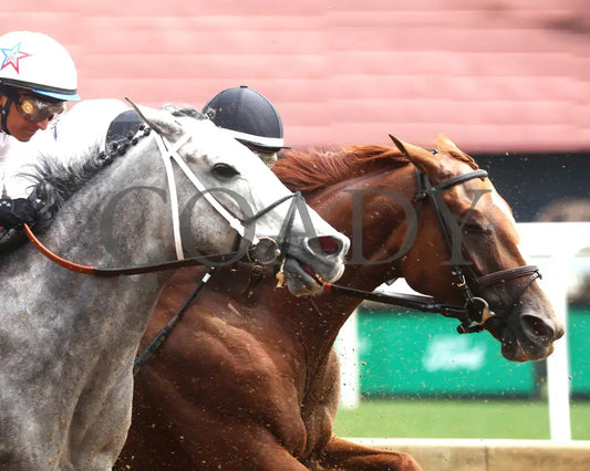 RAGING SEA - The Fasig - Tipton La Troienne G1 - 40th Running - 05-02-25 - R07 - CD - First Pass 02 Churchill Downs