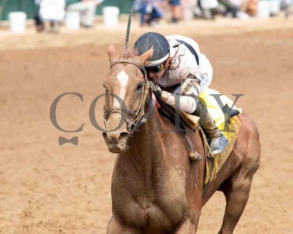 RAGING SEA - The Fasig - Tipton La Troienne G1 - 40th Running - 05-02-25 - R07 - CD - Inside Finish 02 Churchill Downs