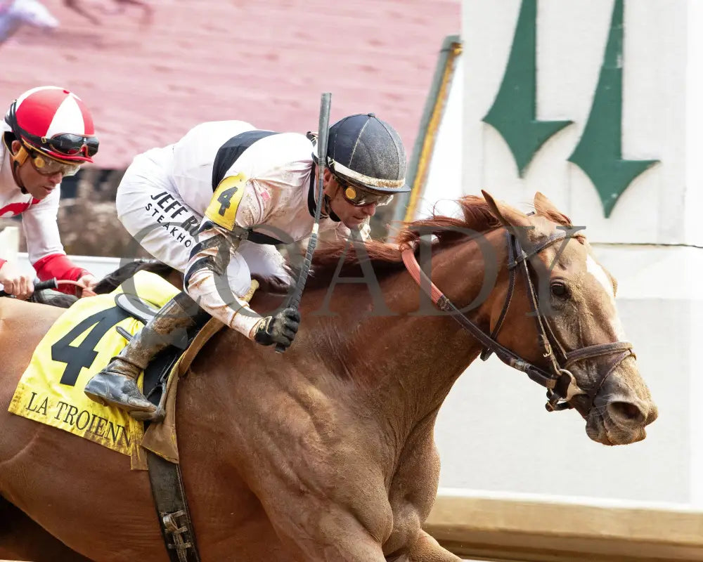 RAGING SEA - The Fasig - Tipton La Troienne G1 - 40th Running - 05-02-25 - R07 - CD - Tight Finish 02 Churchill Downs