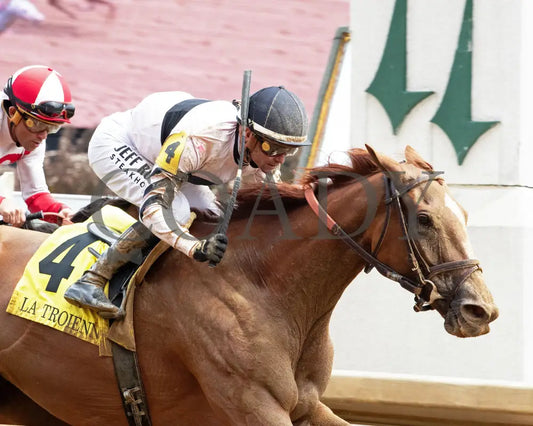 RAGING SEA - The Fasig - Tipton La Troienne G1 - 40th Running - 05-02-25 - R07 - CD - Tight Finish 02 Churchill Downs