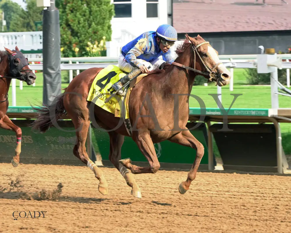 RAGTIME - 092025 - Race 09 - CD  The Dogwood G3 - 50th Running - Finish 02 - Coady Media - Kurtis Coady Photography