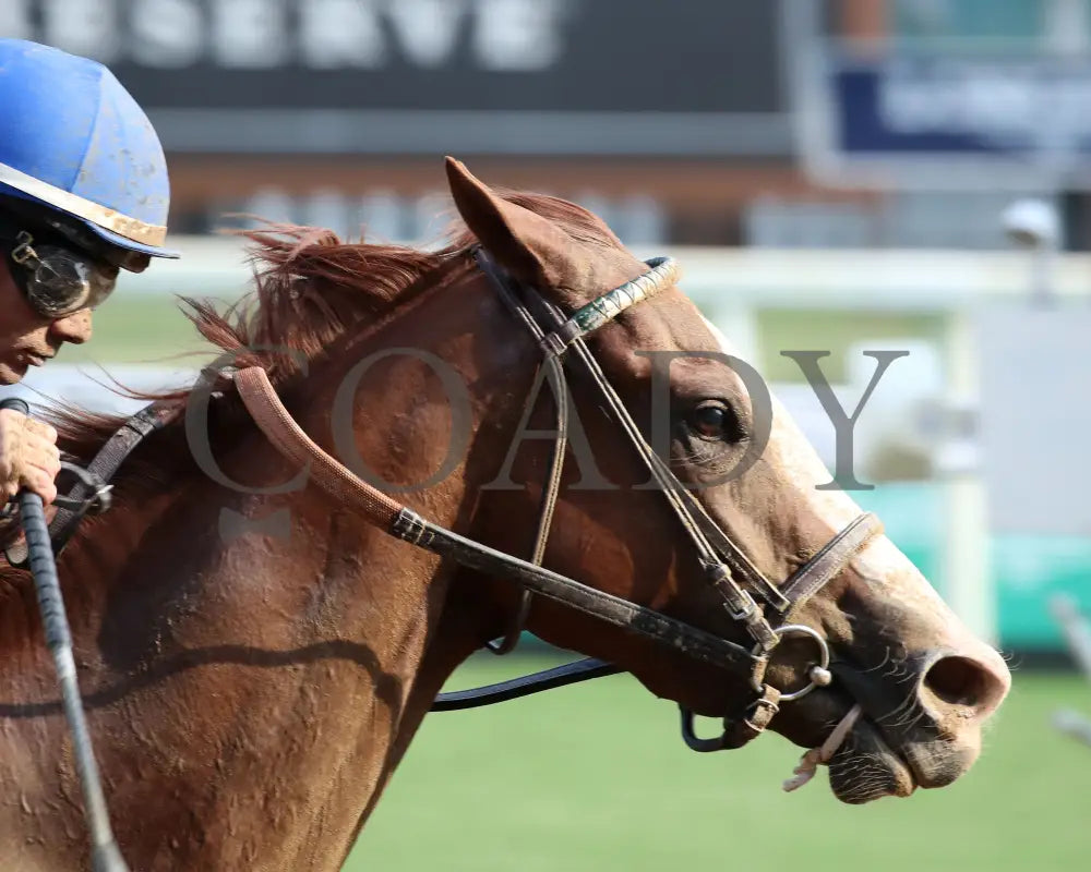 RAGTIME - 092025 - Race 09 - CD  The Dogwood G3 - 50th Running - Finish 04 - Coady Media - Kurtis Coady Photography
