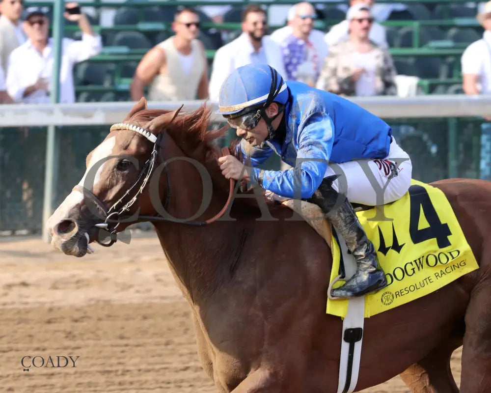 RAGTIME - 092025 - Race 09 - CD  The Dogwood G3 - 50th Running - Inside Finish 01 - Coady Media - Kurtis Coady Photography