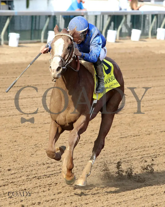 RAGTIME - 092025 - Race 09 - CD  The Dogwood G3 - 50th Running - Inside Finish 02 - Coady Media - Kurtis Coady Photography