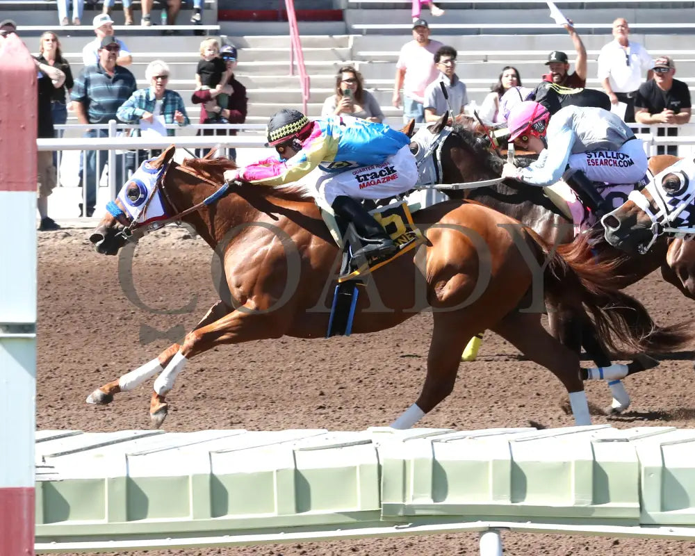 RAIZEN KANE - The John Deere Juvenile Challenge Championship Gll - 10-18-25 - R08 - The Downs at Albuquerque - Finish