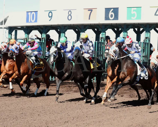 RAIZEN KANE - The John Deere Juvenile Challenge Championship Gll - 10-18-25 - R08 - The Downs at Albuquerque